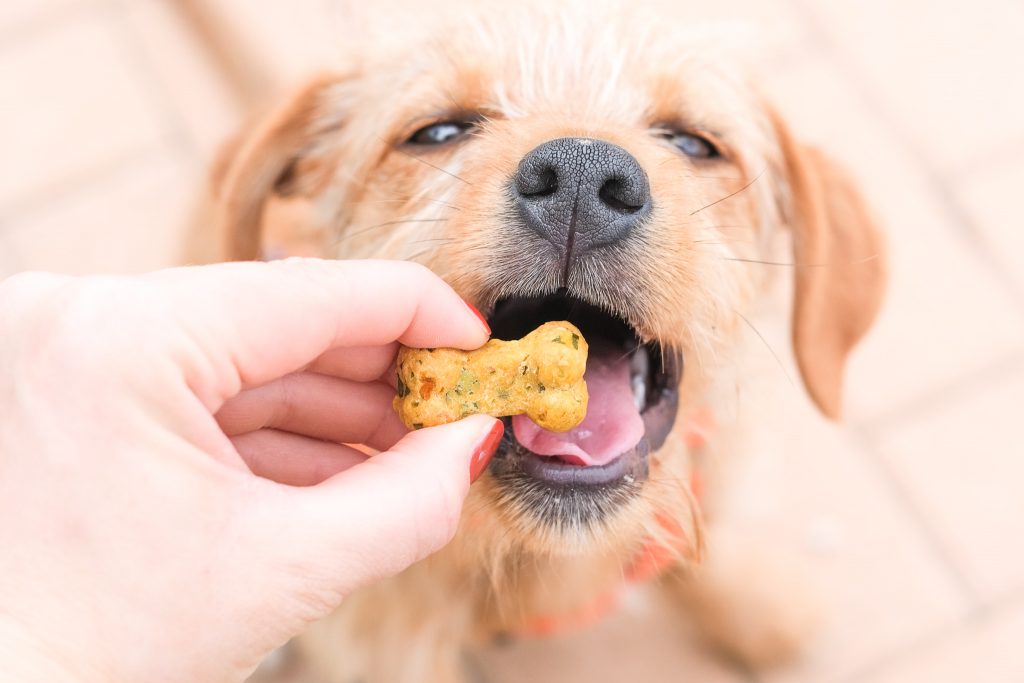 veganskt, glutenfritt hundgodis recept